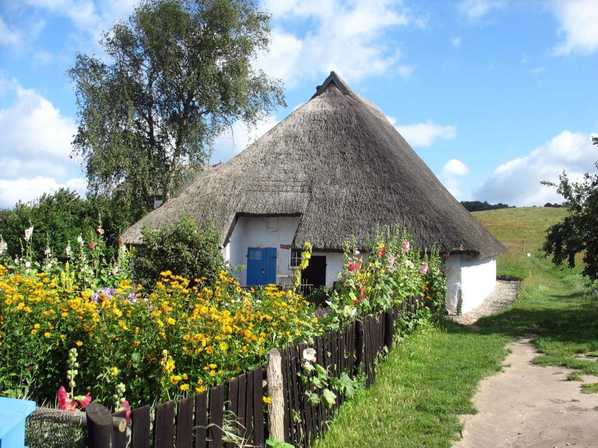 Ferienhaus Zum Boddenstrand Mit Ka Groß Zicker Kültér fotó